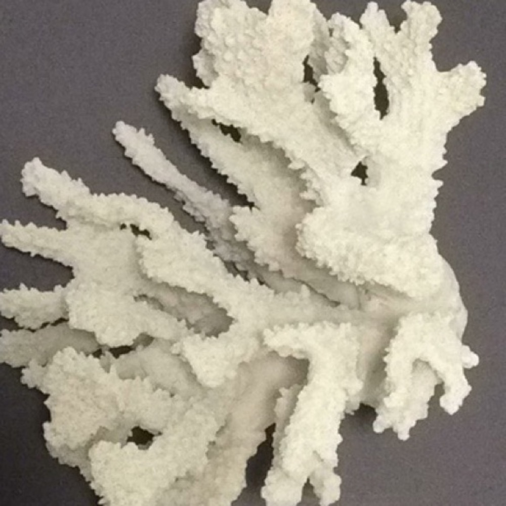 Meet your Posher, Glenfiddich